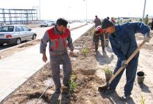 گزارش تصویری مراسم روز درخت کاری و تقدیر از نیروهای باغبانی دانشگاه